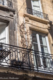 Bordeaux. <br> Un beau trompe-cocu.