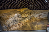 Musée d'Aquitaine. <br> Lascaux.
La grotte de Lascaux (Montignac, Dordogne) est découverte le 12 septembre 1940 par Marcel Ravidat Jacques Marsal, Georges Agniel et Simon Coencas, quatre jeunes gens partis à la recherche d'un souterrain Découvrant les peintures, ils signalent la grotte à leur instituteur, Léon Laval, qui prévient l'Abbé Breuil.
Le 21 septembre, le grand préhistorien authentifie les peintures. Les premières fouilles et relevés commencent aussitôt.
L'Abbé André Glory poursuit ce travail de 1952 à 1963.
De nouvelles recherches sont entreprises par Norbert Aujoulat entre 1988 et 1999. L'exploitation touristique débute en 1948 pour atteindre 100 000 visiteurs par an en 1963 : le gaz carbonique et la vapeur d'eau apportés par les visiteurs favorisent le développement d'algues puis des dépôts de calcite qui risquent de cacher les peintures.
Les figures de Lascaux ont environ 19 000 ans et datent de la fin du Solutréen.
La grotte est fermée et un fac-similé est créé en 1983. De nouvelles moisissures apparaissent en 2000.
Aujourd'hui, l'état de santé de la grotte est stabilisé.
Dans une galerie de la grotte, dite « la Nef», est peinte une frise de cinq têtes de cerfs, quatre en noir et une en brun foncé, dans un style caractéristique de Lascaux : têtes de profil, ramures vues en perspective, oreilles « plantées » sur l'encolure.
Ce fac-similé reproduit à l'identique et à la même grandeur l'œuvre originale