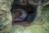 La grotte de Pair-non-Pair. <br>Entrée de la grotte, intérieur. François Daleau révèle l’un des premiers témoins incontestables de l’expression pariétale préhistorique. Grâce à son insistance, Pair-non-Pair devient, en 1900, la première grotte classée au titre des monuments historiques, au moment de son acquisition par l’État.
Le travail de François Daleau constitue une des premières fouilles scientifiques d’une grotte préhistorique. Il y déploie des méthodes innovantes : le déblaiement progressif des couches archéologiques qui comblent la cavité et le fait de noter les objets et les restes osseux dans ses fameux carnets d’excursions.