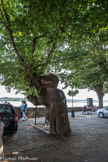 Bourg sur Gironde. <br> Place du District. Cette place est baptisée ainsi en souvenir du statut de chef-lieu de District octroyé à Bourg en 1790. A cet endroit, se trouvaient jusqu'alors, les jardins du couvent des Pères Récollets.
C'est en 1820 que l'on réaménage la place et que l'on plante en bordure de falaise, un alignement d'ormes, dont un seul subsiste aujourd'hui.
