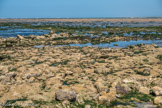 Le phare de Cordouan.<br>