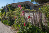 Talmont <br> Les rues du bourg, qui se coupent à angle droit, sont bordées de maisons anciennes, volontairement très basses afin de limiter la prise au vent, couvertes de tuiles roses et presque toutes blanchies à la chaux. En été, de nombreuses roses trémières apportent une touche colorée à cet ensemble.