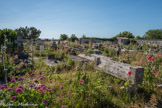 Talmont <br> Cimetière marin de Talmont-sur-Gironde. Le cimetière abrite toujours de nombreux cénotaphes, témoignages d'un renouveau de l'art funéraire dans le courant du XVIIIe siècle. Comme l'ensemble du village, le cimetière marin se pare de nombreuses roses trémières durant la saison estivale.