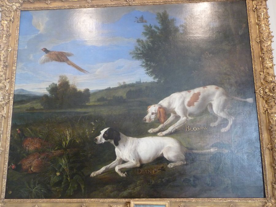 chasse_natures0015