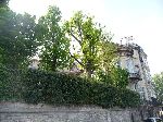 Cliquez ici pour voir l'image (ile_st_louis0010.JPG)