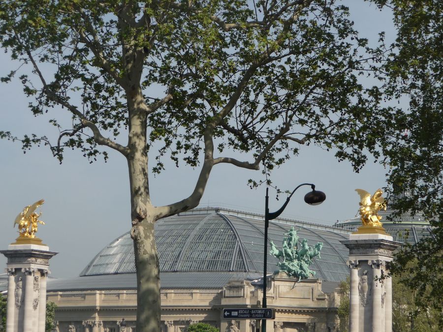 pont_alexandrel0006