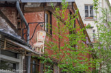 <center>Faubourg Saint Antoine.</center>