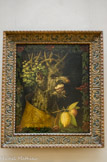 <center>Hiver.</center> Giuseppe Arcimboldo, Arcimboldi ou Arcimboldus (1527 à Milan, Italie - 1593 à Milan). Cette série des Saisons fut commandée en 1573 par l'empereur Maximilien II de Habsbourg pour être offerte à l'électeur Auguste de Saxe dont les armoiries, les épées croisées de Meissen, sont brodées sur le manteau de l'Hiver. Elle reprend un cycle antérieur, dont ne subsistent que l'Eté et l'Hiver, daté de 1563 (Vienne, Kunsthistorisches Muséum), offert en 1569 par Arcimboldo à Maximilien II, en même temps qu'une série des Quatre Eléments. L'encadrement de fleurs a probablement été ajouté sur les quatre tableaux au XVIIe siècle.