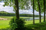 <center>Le domaine de Marly</center>Le Grand Bassin vu du bosquet du Couchant.