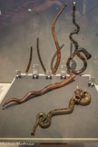 <center></center><center>Le Musée de la Musique.</center>Les cornets à bouquin.
Issu de la corne d’animal à laquelle on a ajouté au XVe siècle des trous de jeu et une embouchure séparée, le cornet à bouquin est utilisé dans la musique européenne jusqu’au XVIIIe siècle.
Il est construit en bois (en deux moitiés creusées puis collées ensemble et recouvertes de cuir), plus rarement en ivoire. Différentes tailles existent afin de satisfaire aux exigences du style polyphonique (musique à plusieurs voix).
Au XIXe, le serpent, dont le nom évoque la forme sinueuse, est l’héritier du cornet basse. Il est utilisé dans les églises pour accompagner les chantres