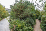 <center>Parc Martin-Luther-King. </center>