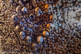 <center></center><center>Les Catacombes de Paris. </center>Un coeur.