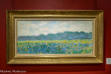<center></center><center>Musée Marmottan Monet.</center> CHAMP D'IRIS JAUNES À GIVERNY
1887
Huile sur toile