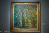 <center></center><center>Musée Marmottan Monet.</center> LE SAULE PLEUREUR
1918-1919
Huile sur toile