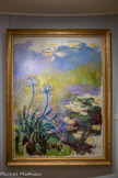 <center></center><center>Musée Marmottan Monet.</center> LES AGAPANTHES
1914-1917
Huile sur toile