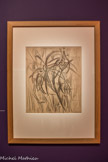 <center></center><center>Musée Marmottan Monet.</center> EUCALYPTUS
1912
Fusain sur carton
