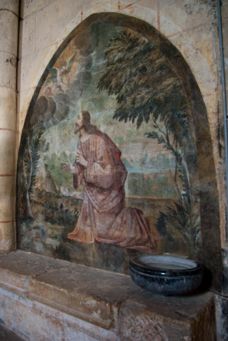 La cathédrale Saint-Pierre