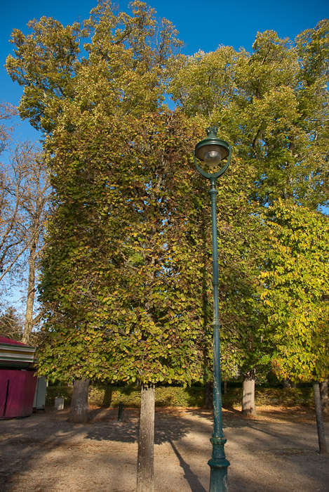 Parc de Blossac