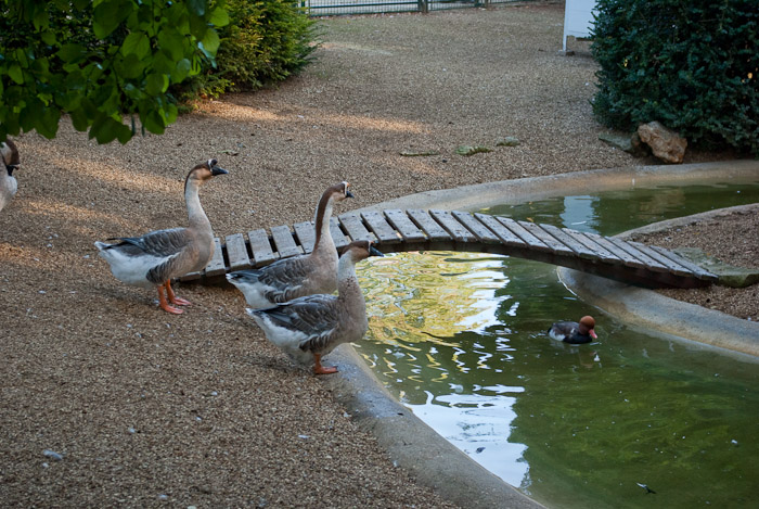 Parc de Blossac