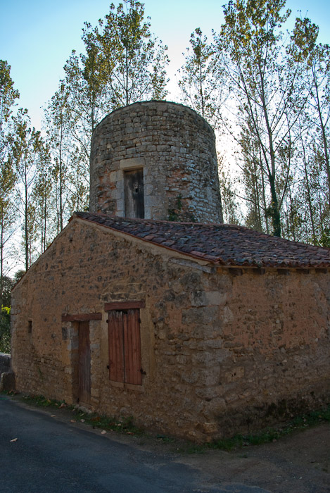 Abbaye de Nouaillé-Maupertuis.