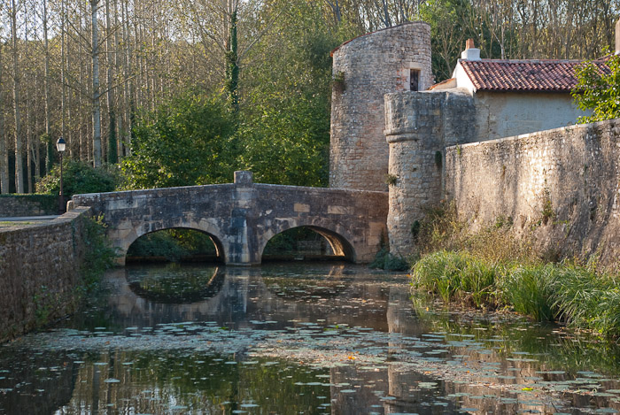Abbaye de Nouaillé-Maupertuis.
